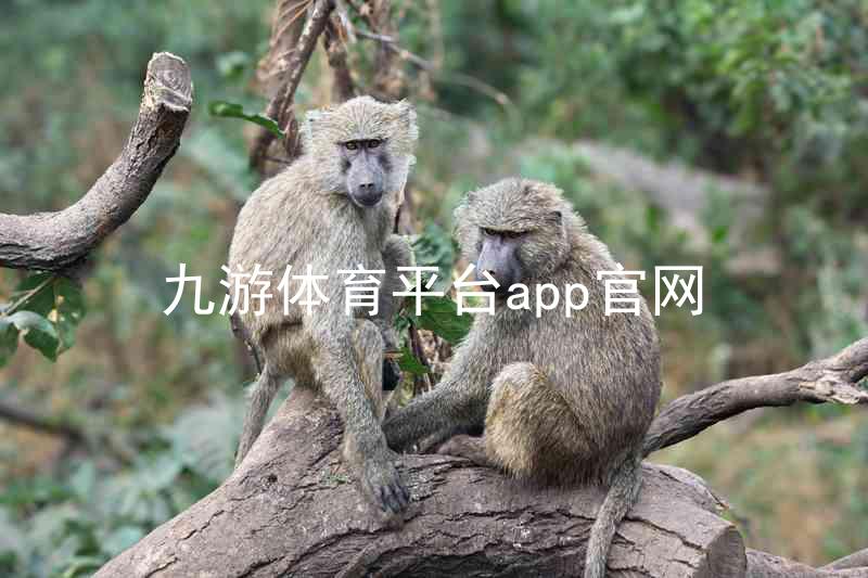 九游体育平台app官网